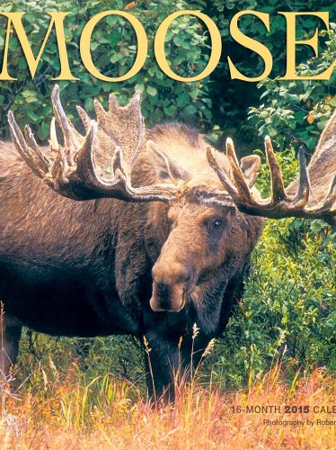 Лось / Moose (2015)